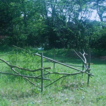 クララの自生地にアートな木の柵を作った【森へ行く道＜134＞】