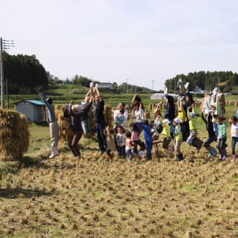 2012年稲刈り