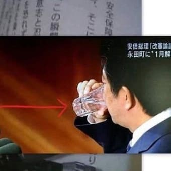 プーチンに足蹴にされた安倍晋三、すべての外交が破たんしている・・・のに
