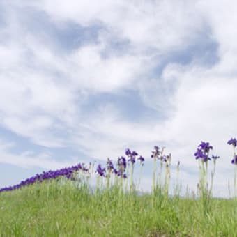 仙桃庵の茶事　（２）