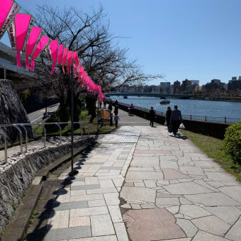 2020年3月20日の隅田川の桜