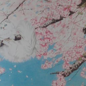 猫舟神社ー今年も桜を植えたよ！