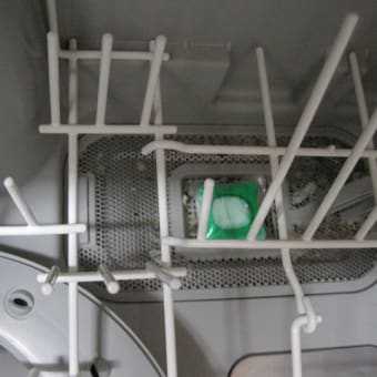 ★Ripre★食洗機用洗剤「ジョイジェルタブ」P&Gジャパン