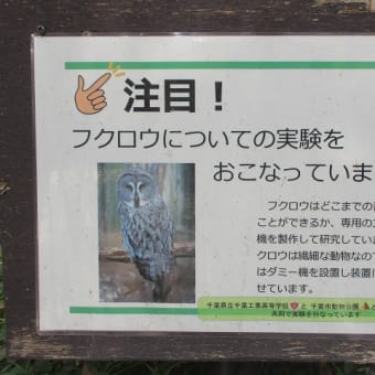 千葉市動物公園で見つけた千葉工業高等学校とのコラボ実験