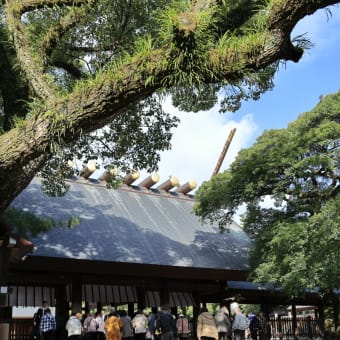 お伊勢参りと名古屋