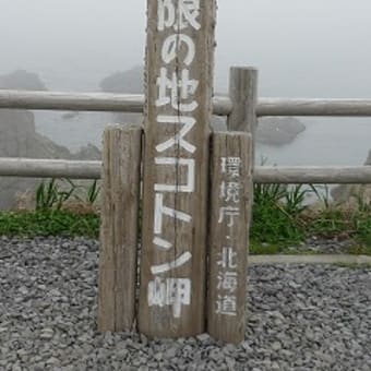 利尻・礼文2日目