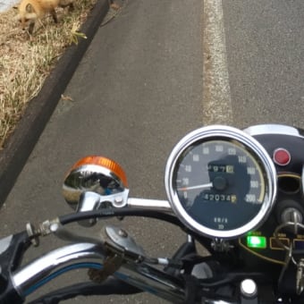 650RS W３で、仕事の下見してきた。