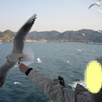 ぼうそう