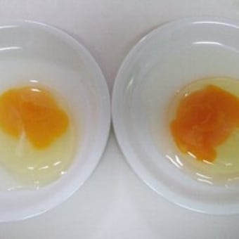 桜卵とスーパー卵