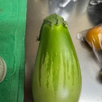 傷ついたタマムシ