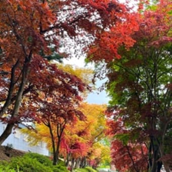 日本一の風景