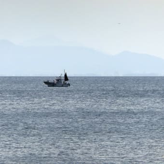静岡県 in ドクターイエロー　１