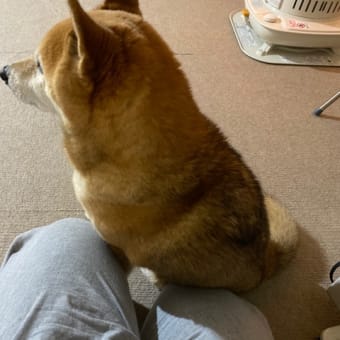 帯状疱疹かもしれません