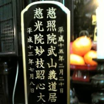 札幌市　今年もこんな感じから～