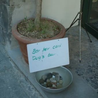 Bar per cani