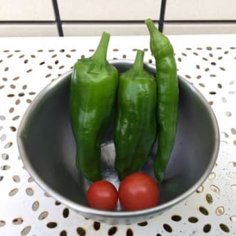 衣紋掛けがほしい