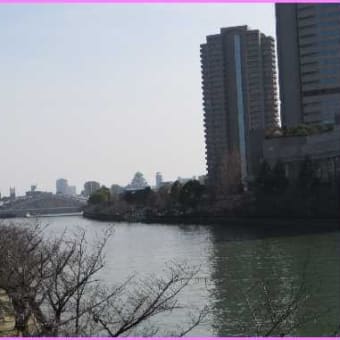 水ぬるむ桜の名所