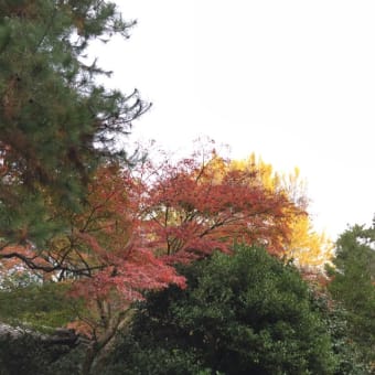 京都旅