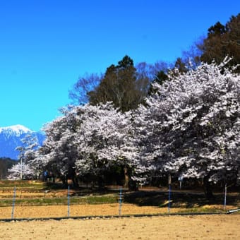 平成26年4月の生坂村の朝の風景