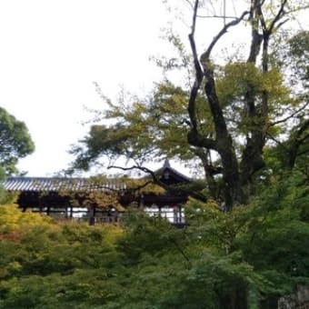 京都お寺巡り