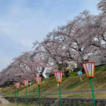 ざっくりと振り返り