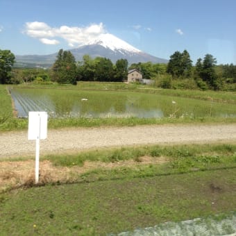 やまやま富士山。