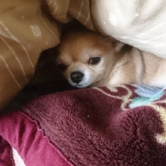 ♯高血圧