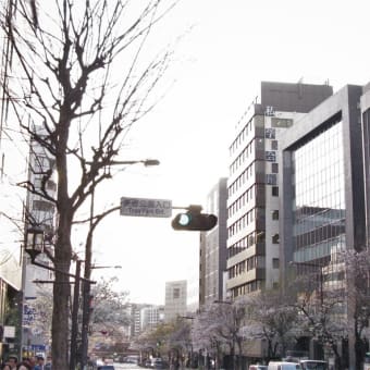 桜巡り帳4頁目：麹町 番町 市ヶ谷