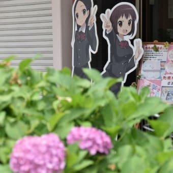 あじさい偵察で、ウロウロドライブ、、、