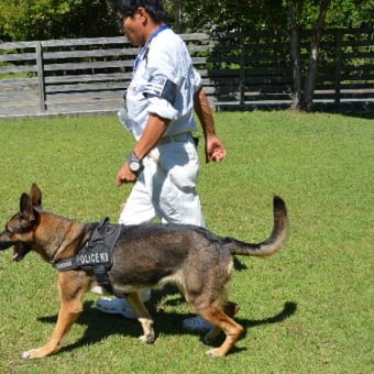 K－９　サラ号