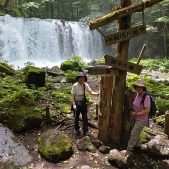 八甲田大岳と仙人岱･毛無岱湿原の花