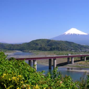 富士川ＳＡから見た富士山