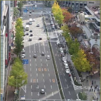 御堂筋の「いちょう」