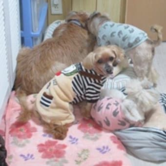 ゴールデンウィークが終わりましたね～！！