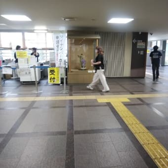 市役所挿花６月１２日