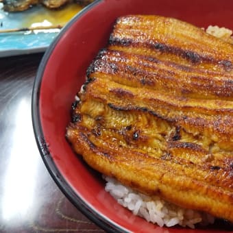 赤羽の老舗うなぎ屋で昼飲み
