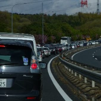 フラダンス&京都縦貫自動車道