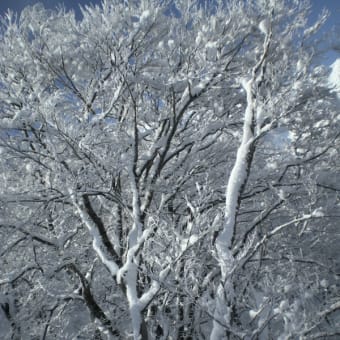 雪景＠白馬連峰