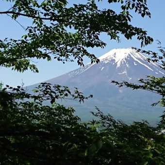 日本の心、富士山を巡る旅