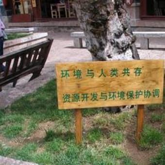 中国