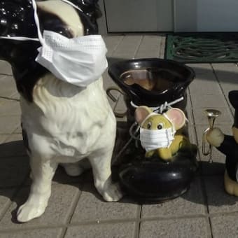 雨がワンだ降る。雨でチュー。起きろー。ワン