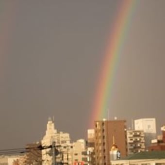 虹、見ました？