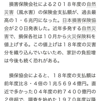 自然災害に何でも政府が保証するのは変なことでは？