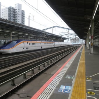 朝駆けのつばさ