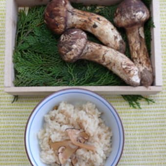 食材