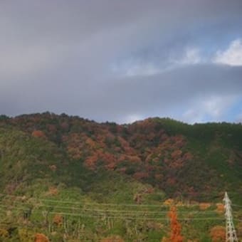 まぁ、コーヒーなどどうぞ