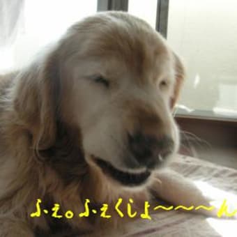 百ヶ日