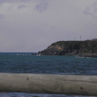 海