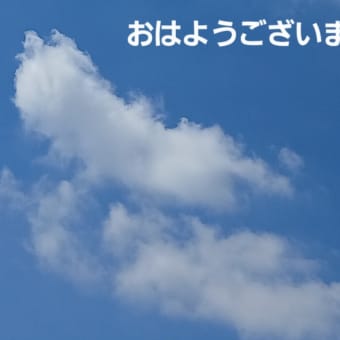 ネコ雲