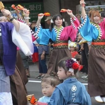 夏よさこい　2024　（続き）